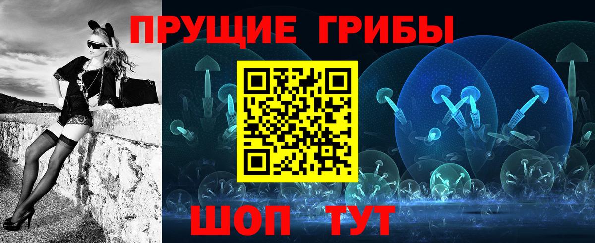 Истра  Псилоцибиновые грибы Cubensis  Вход с VPN 